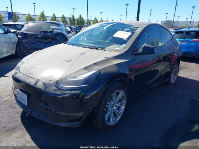 2023 TESLA MODEL Y 7SAYGDEE4PA137965 Photo 1