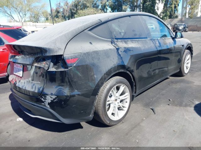 2023 TESLA MODEL Y 7SAYGDEE4PA137965 Photo 3