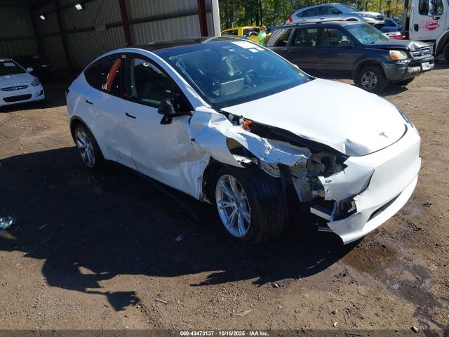 2023 TESLA MODEL Y 7SAYGDEE3PA114435 Photo 0