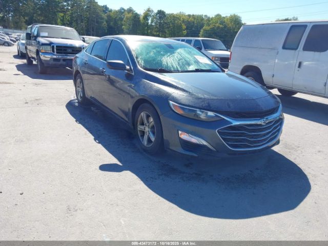 2019 CHEVROLET MALIBU 1G1ZC5ST2KF126825