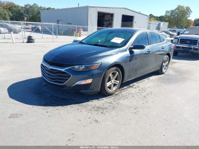 2019 CHEVROLET MALIBU 1G1ZC5ST2KF126825 Photo 1
