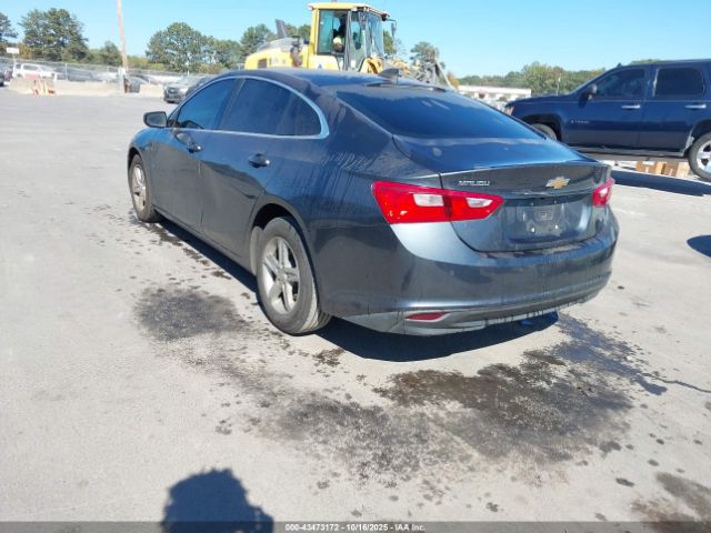 2019 CHEVROLET MALIBU 1G1ZC5ST2KF126825 Photo 2