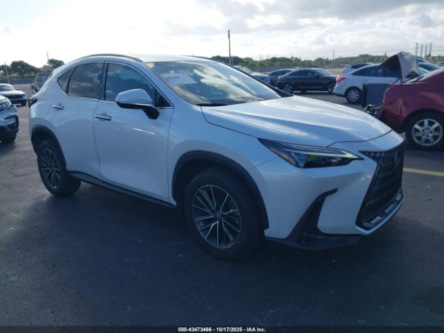 2023 LEXUS NX 250 JTJADCAZ1P5010540