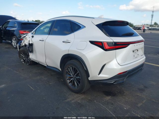 2023 LEXUS NX 250 JTJADCAZ1P5010540 Photo 2