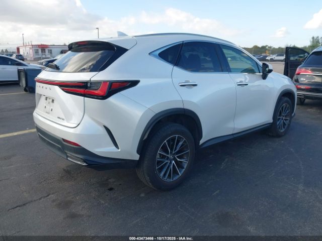 2023 LEXUS NX 250 JTJADCAZ1P5010540 Photo 3