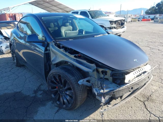 2022 TESLA MODEL Y 7SAYGDEF3NF405901 Photo 0