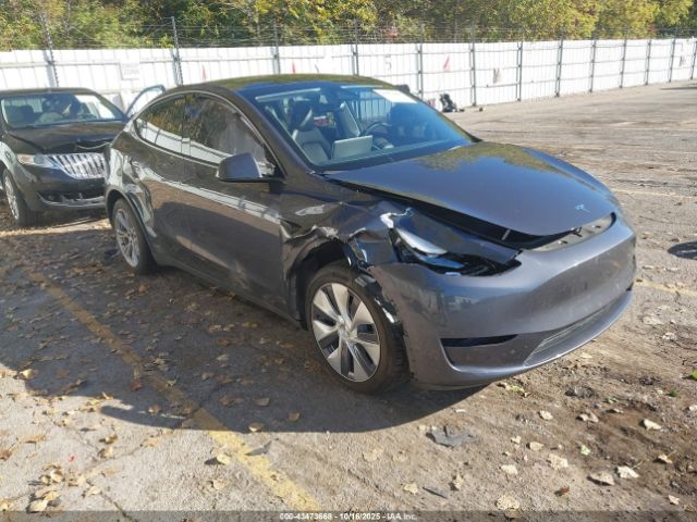 2023 TESLA MODEL Y 7SAYGAEE3PF900074 Photo 0