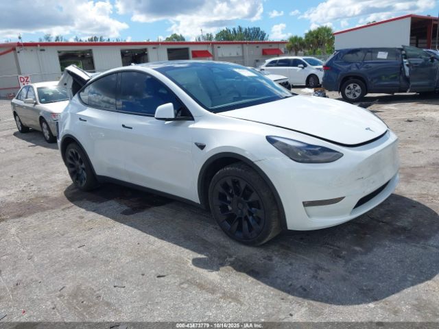 2023 TESLA MODEL Y 7SAYGDEE0PF863048 Photo 0