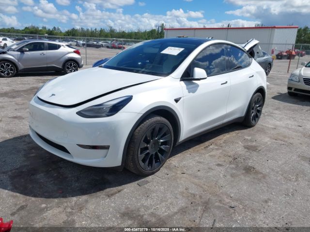 2023 TESLA MODEL Y 7SAYGDEE0PF863048 Photo 1