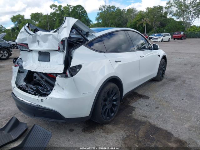 2023 TESLA MODEL Y 7SAYGDEE0PF863048 Photo 3