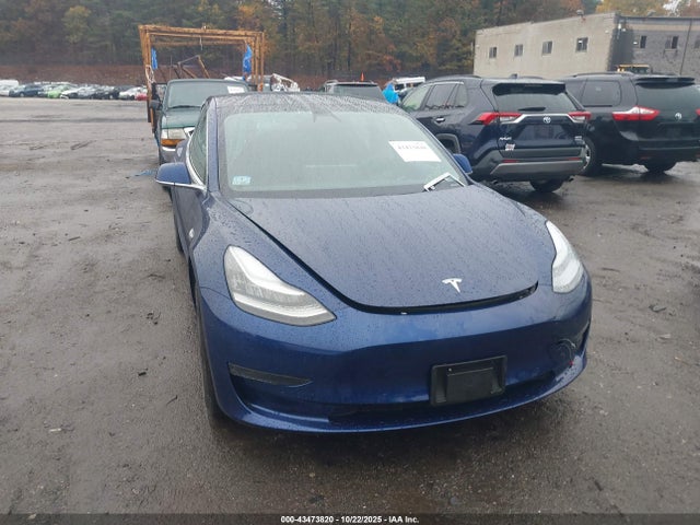 Aukcja sprzedaży 2019 Tesla Model 3 Long Range/mid Range/standard Range/standard Range Plus, vin: 5YJ3E1EA2KF427206, numer aukcji: 43473820