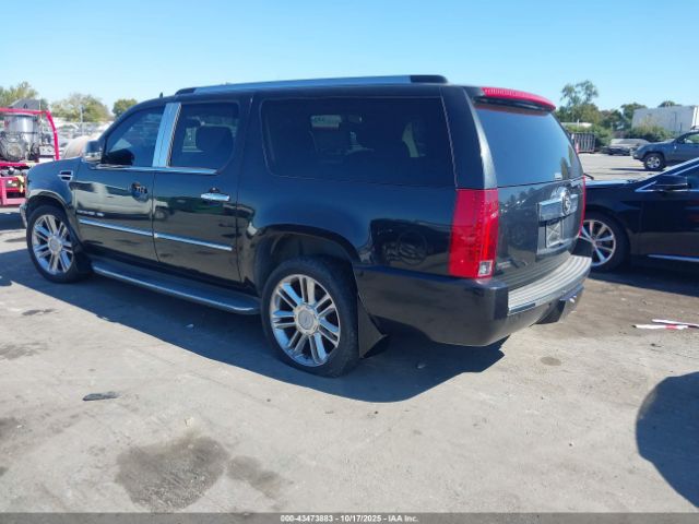 2010 CADILLAC ESCALADE ESV 1GYUKHEF3AR183697 Photo 2