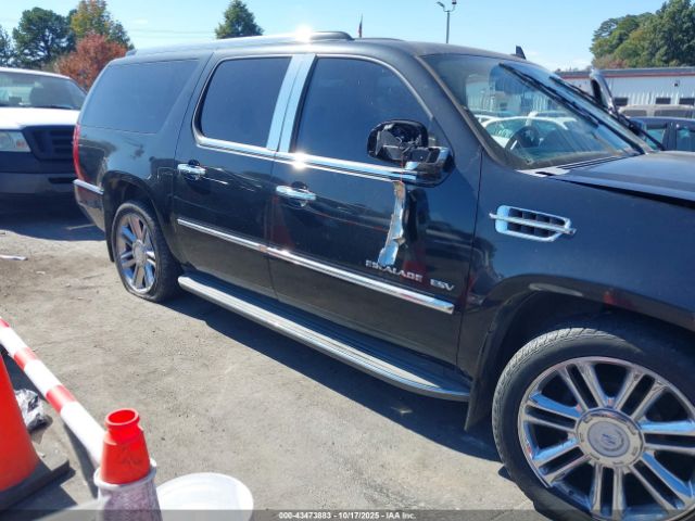 2010 CADILLAC ESCALADE ESV 1GYUKHEF3AR183697 Photo 5
