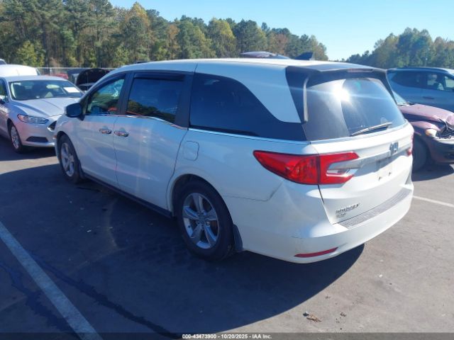 2019 HONDA ODYSSEY 5FNRL6H72KB098777 Photo 2