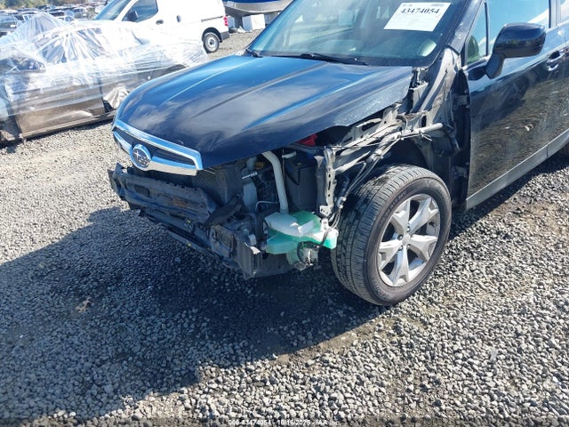 Subaru Forester 2.5i Premium 2015 JF2SJADC4FH411154 Image 6