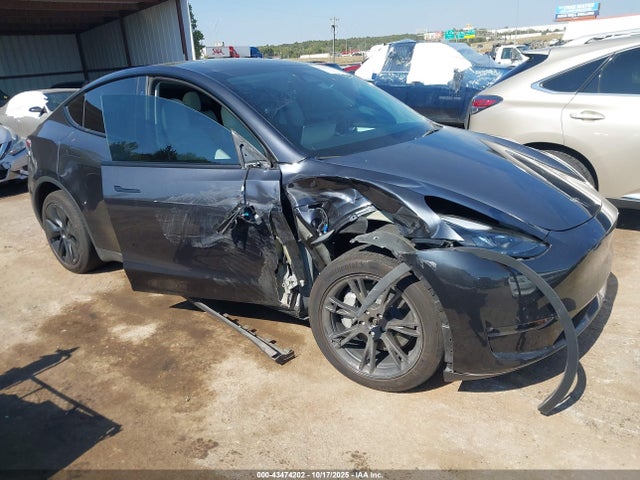 2025 TESLA MODEL Y 7SAYGDEE9SF248703 Photo 0