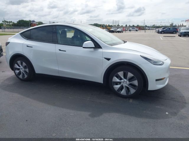 2021 TESLA MODEL Y 5YJYGDEE3MF079911