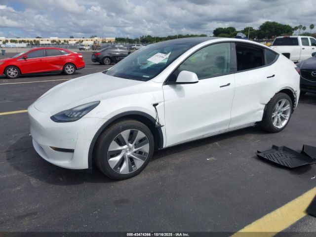 2021 TESLA MODEL Y 5YJYGDEE3MF079911 Photo 1