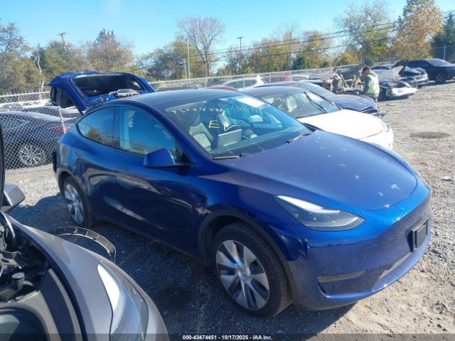 2024 TESLA MODEL Y 7SAYGDED6RF038089