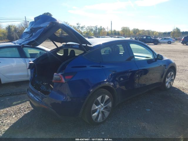 2024 TESLA MODEL Y 7SAYGDED6RF038089 Photo 3