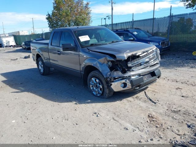 2013 FORD F-150 1FTFX1EF7DFC78230