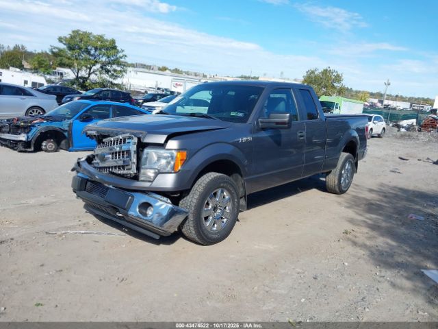 2013 FORD F-150 1FTFX1EF7DFC78230 Photo 1