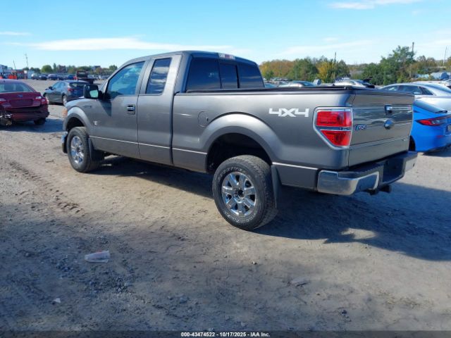 2013 FORD F-150 1FTFX1EF7DFC78230 Photo 2