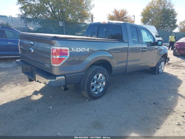 2013 FORD F-150 1FTFX1EF7DFC78230 Photo 3