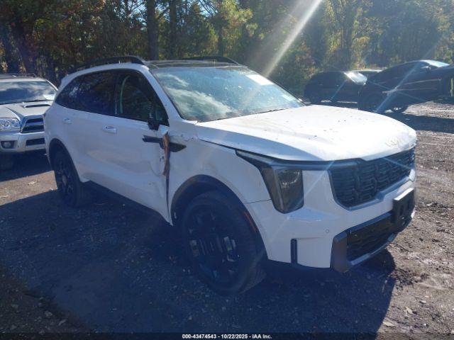 2024 KIA SORENTO 5XYRKDJF2RG290308