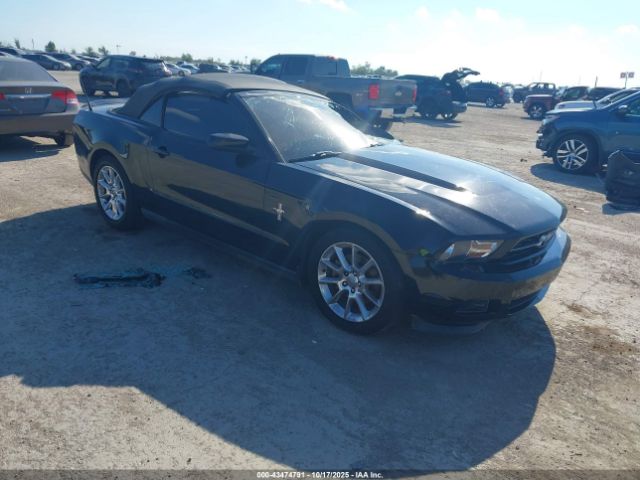 2011 FORD MUSTANG 1ZVBP8EM9B5157303