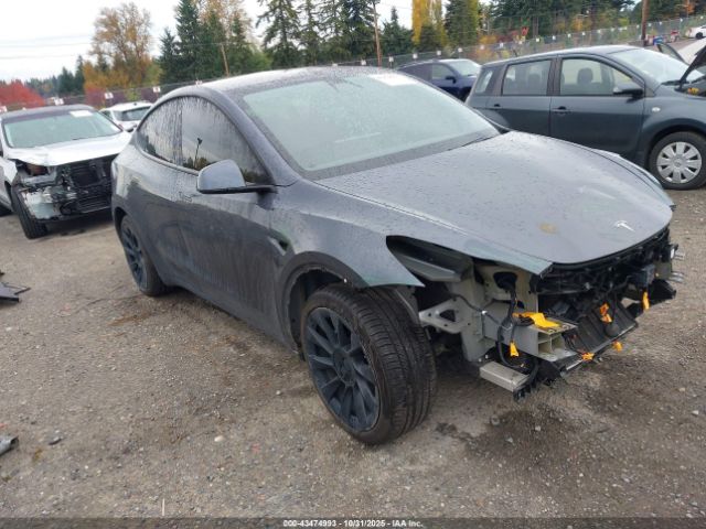 2020 TESLA MODEL Y 5YJYGDEE4LF014550 Photo 0