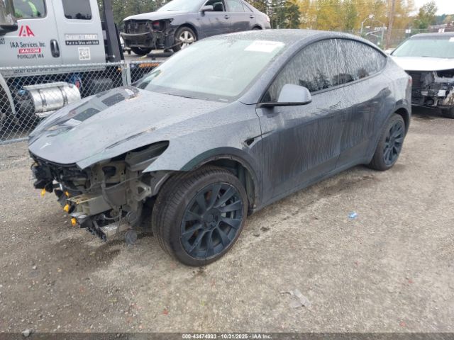 2020 TESLA MODEL Y 5YJYGDEE4LF014550 Photo 1