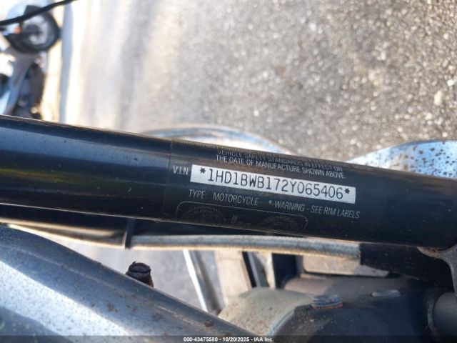 2002 HARLEY-DAVIDSON FLSTCI 1HD1BWB172Y065406 Photo 9