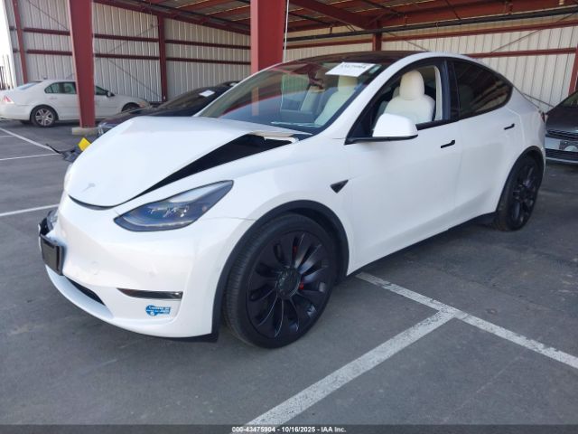 2021 TESLA MODEL Y 5YJYGDEF7MF215952 Photo 1