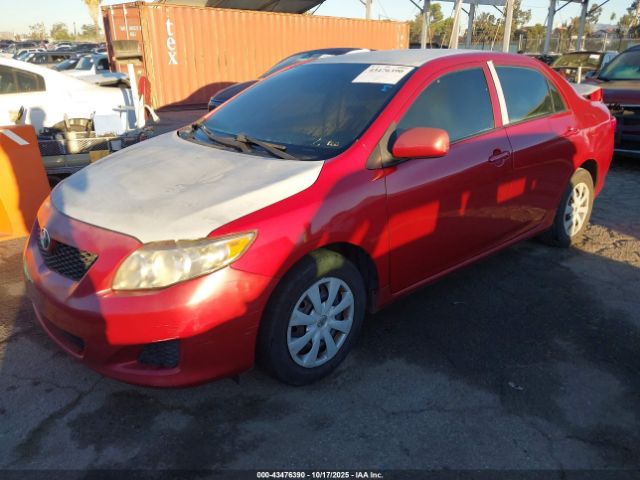 2010 TOYOTA COROLLA 1NXBU4EE5AZ263759 Photo 1
