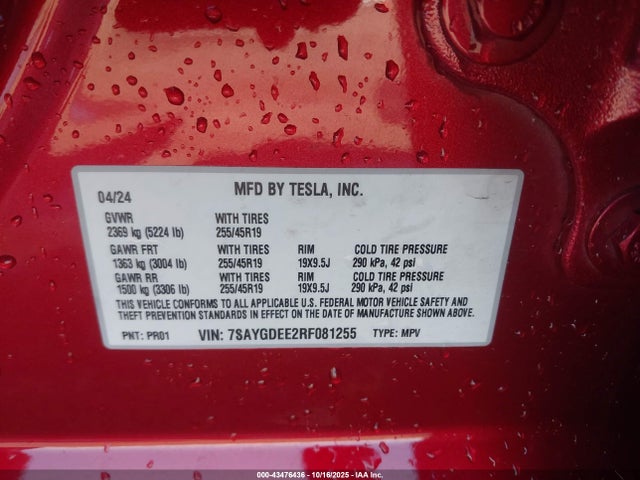 2024 TESLA MODEL Y 7SAYGDEE2RF081255 Photo 8