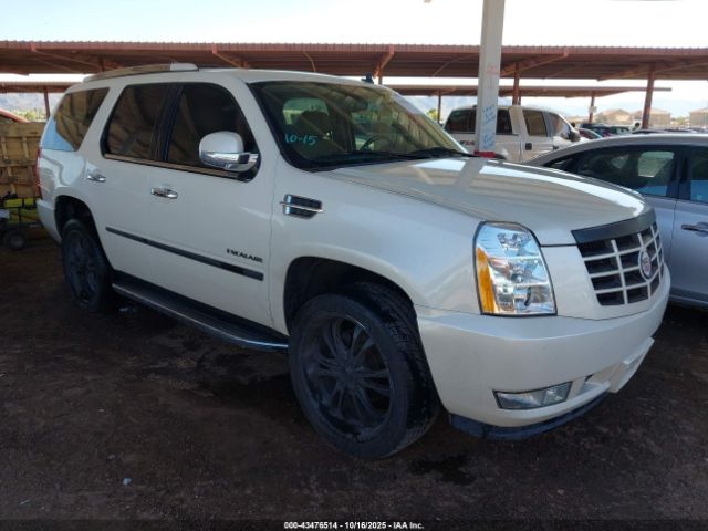 2014 CADILLAC ESCALADE 1GYS4BEF9ER231675