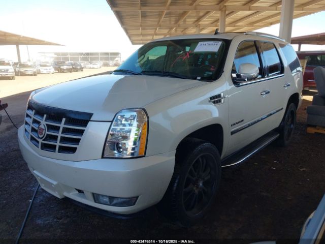 2014 CADILLAC ESCALADE 1GYS4BEF9ER231675 Photo 1