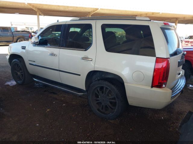 2014 CADILLAC ESCALADE 1GYS4BEF9ER231675 Photo 2