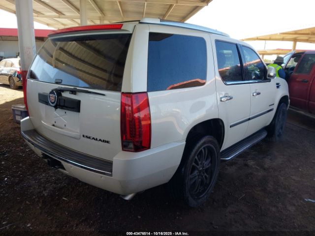 2014 CADILLAC ESCALADE 1GYS4BEF9ER231675 Photo 3