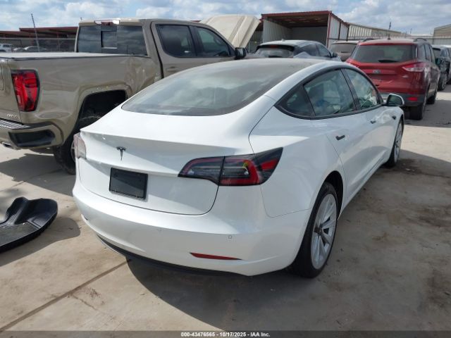 2021 TESLA MODEL 3 5YJ3E1EA7MF057048 Photo 3