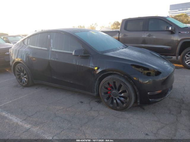 2022 TESLA MODEL Y 7SAYGDEFXNF341730 Photo 0