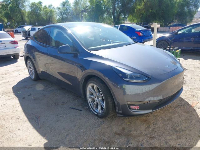 2023 TESLA MODEL Y 7SAYGDEE5PF914785 Photo 0