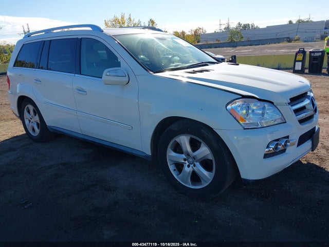 2010 MERCEDES-BENZ GL 450 4JGBF7BE5AA613036