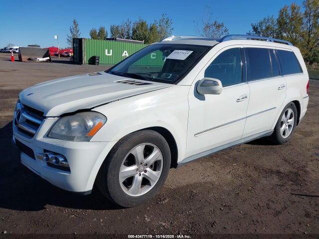 2010 MERCEDES-BENZ GL 450 4JGBF7BE5AA613036 Photo 1