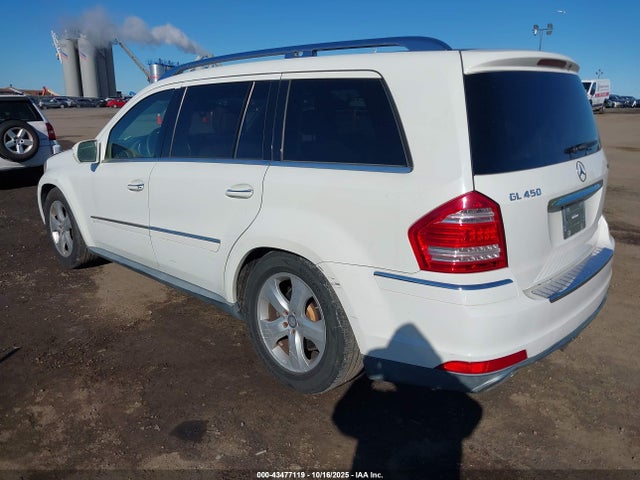 2010 MERCEDES-BENZ GL 450 4JGBF7BE5AA613036 Photo 2