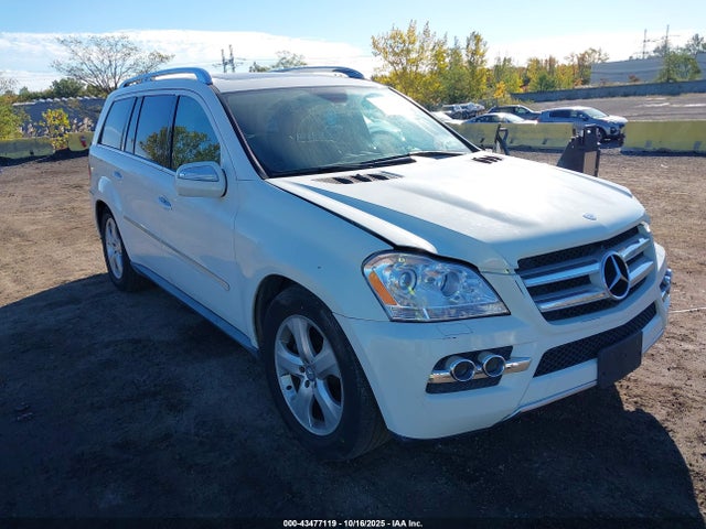 2010 MERCEDES-BENZ GL 450 4JGBF7BE5AA613036 Photo 5