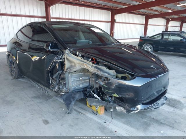 2023 TESLA MODEL Y 7SAYGDEF3PF758996 Photo 0