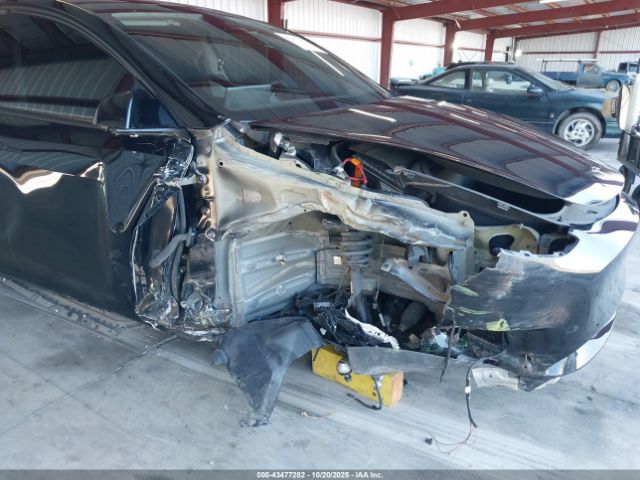 2023 TESLA MODEL Y 7SAYGDEF3PF758996 Photo 5