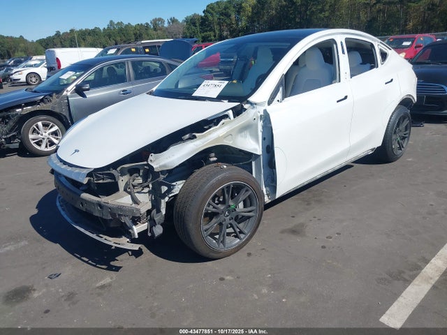 2023 TESLA MODEL Y 7SAYGDEE0PF696254 Photo 1